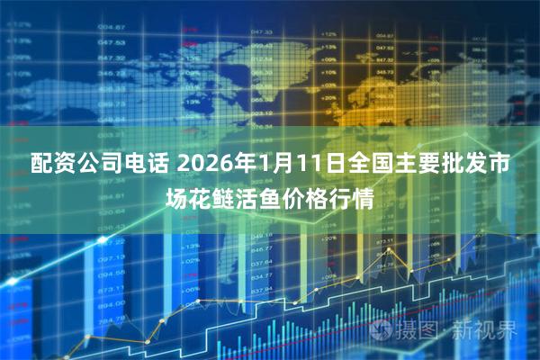 配资公司电话 2026年1月11日全国主要批发市场花鲢活鱼价格行情